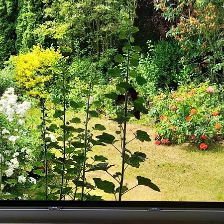 Ruhiges Doppelzimmer Mit Bad-und Kuechennutzung Naehe Bhf Alloggio in famiglia Zierenberg